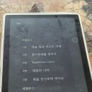 3. 나의 돈키호테 : 1/18 완독 (평점 3.5점) 이미지