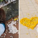 주식회사 더팡팡 이미지