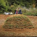 김천그린장묘 이미지