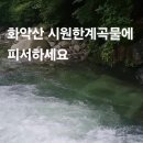 삼일계곡 피서트레킹 이미지