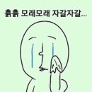 별빛콩