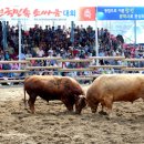 창원대산고등학교 이미지