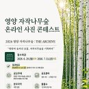 담을 - 담양군 중앙로 116-1 | 담을