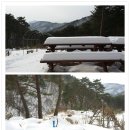 개팔자상팔자 - 안산시 단원구 석수로4길 15 | 개팔자상팔자