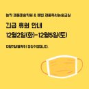 놀작채움미술학원 이미지
