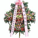 동상공설운동장 Daum카페