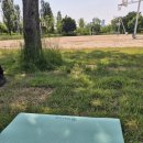 개나리공원 농구장 이미지