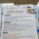 내돈내산 파주 동화힐링캠프 럭셔리 글램핑 추천 재방문후기