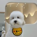 한올디테일그루밍 네이버블로그