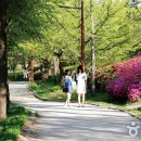 필동마을회관 이미지