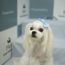 소망종합 동물병원 이미지