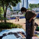 도담목장 이미지