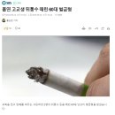 흡연 고교생 뒤통수 떄린 60대 벌금 70만원 이미지