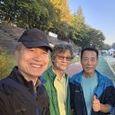 양재천 황금 벼학습장[뜀꾼] 이미지