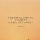 지광 이미지