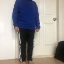 무릎보호대추천 포르테 무릎 보호대 후기