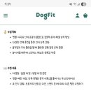 프리티독 이미지