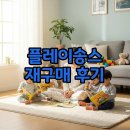 멍멍빵빵 | 플레이송스 사운드북 공구 빵빵 멍멍 재구매기