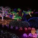 마치무릉도원 이미지