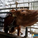 농업기술센터(우) 이미지