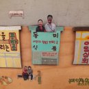 금성부동산 중개인사무소 네이버블로그