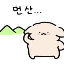 아이베이브래쉬