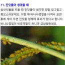 바나나 껍질이 우리 몸에 주는 놀라운 변화 이미지