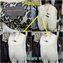 대성명품세탁 이미지