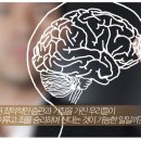 두뇌와마음 이미지