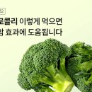 브로콜리