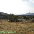 덕산양계 이미지