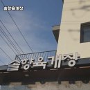 솔향육개장