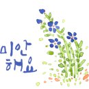 골드립 네이버블로그
