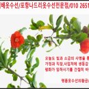 88옷수선