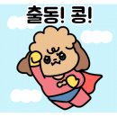 피피브레드 이미지