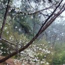 노을정원 이미지