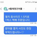 신선건어물 | 통영 중앙시장 멸치 택배 구매 통제영건어물 후기