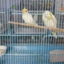 인천조류원 이미지