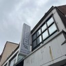 파충류카페 비비안 | 강릉파충류카페 비비안에서 하루보내기! 고양이들이 같이 살아요 :)