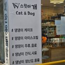 강아지고양이편의점강동