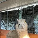 대경동물병원 이미지