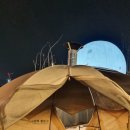 카페 문라이트(cafe moonlight) 이미지