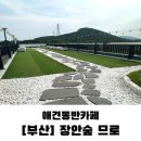 므로 | 부산 기장 장안숲 므로카페 솔직 방문후기