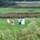 골체오름 이미지