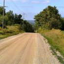 허니퍼니 이미지