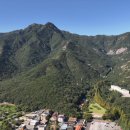 구미가 당기다 이미지