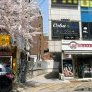 렌즈미상수카페거리점 이미지