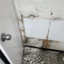주안태화아파트 네이버블로그