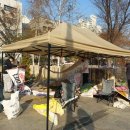 초록 환경 개발 이미지