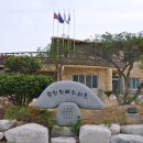 차우리다 이미지
